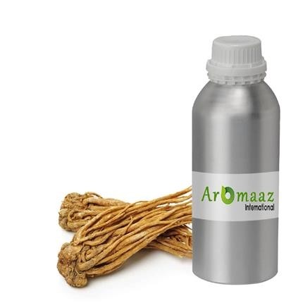 Angelica Root Essential Oil