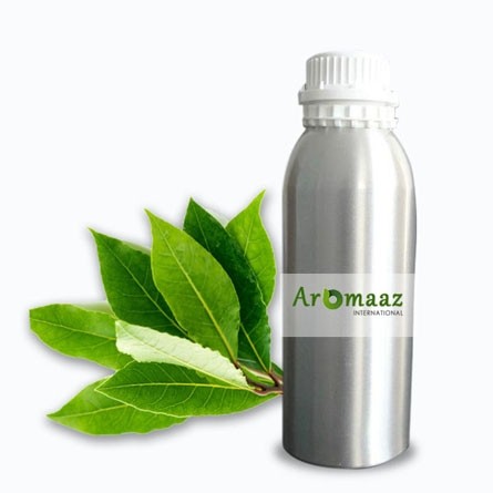 Laurel Leaf Essential Oil 