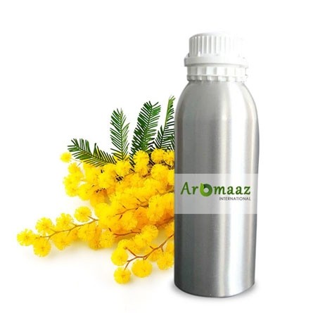 Mimosa Floral Absolute Oil