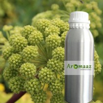 Angelica Hydrosol