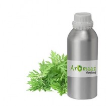 Armoise Essential Oil