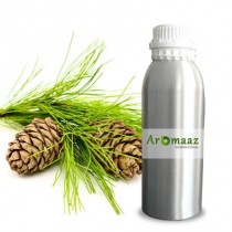 Atlas Cedar Essential Oil