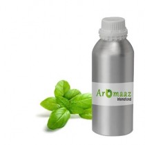 Basil Organic Essential Oil