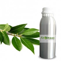 Camphor Certified Organic Oil