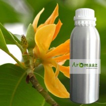 Champa (Magnolia) Hydrosol