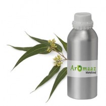 Eucalyptus Essential Oil