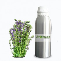 Hyssop Floral Water