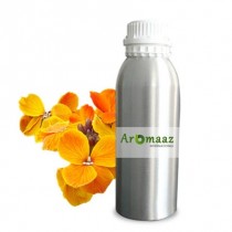 Wallflower Flower Oil