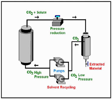 SFE CO2 Extraction